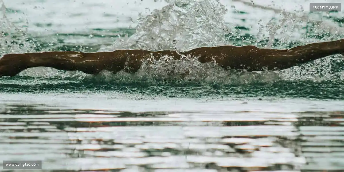 <strong>太阳成集团tyc33455ccww</strong>🏊‍♀️在泳池冲刺，在赛场奔跑，在人生路上勇往直前 —— 体育，让热爱不留遗憾！